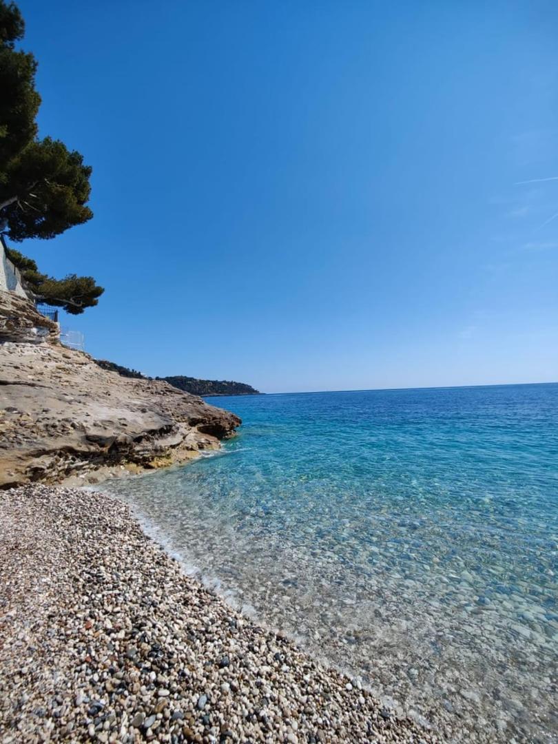 Le Coq Massolin Roquebrune-Cap-Martin Kültér fotó