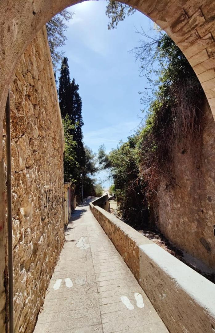 Le Coq Massolin Roquebrune-Cap-Martin Kültér fotó