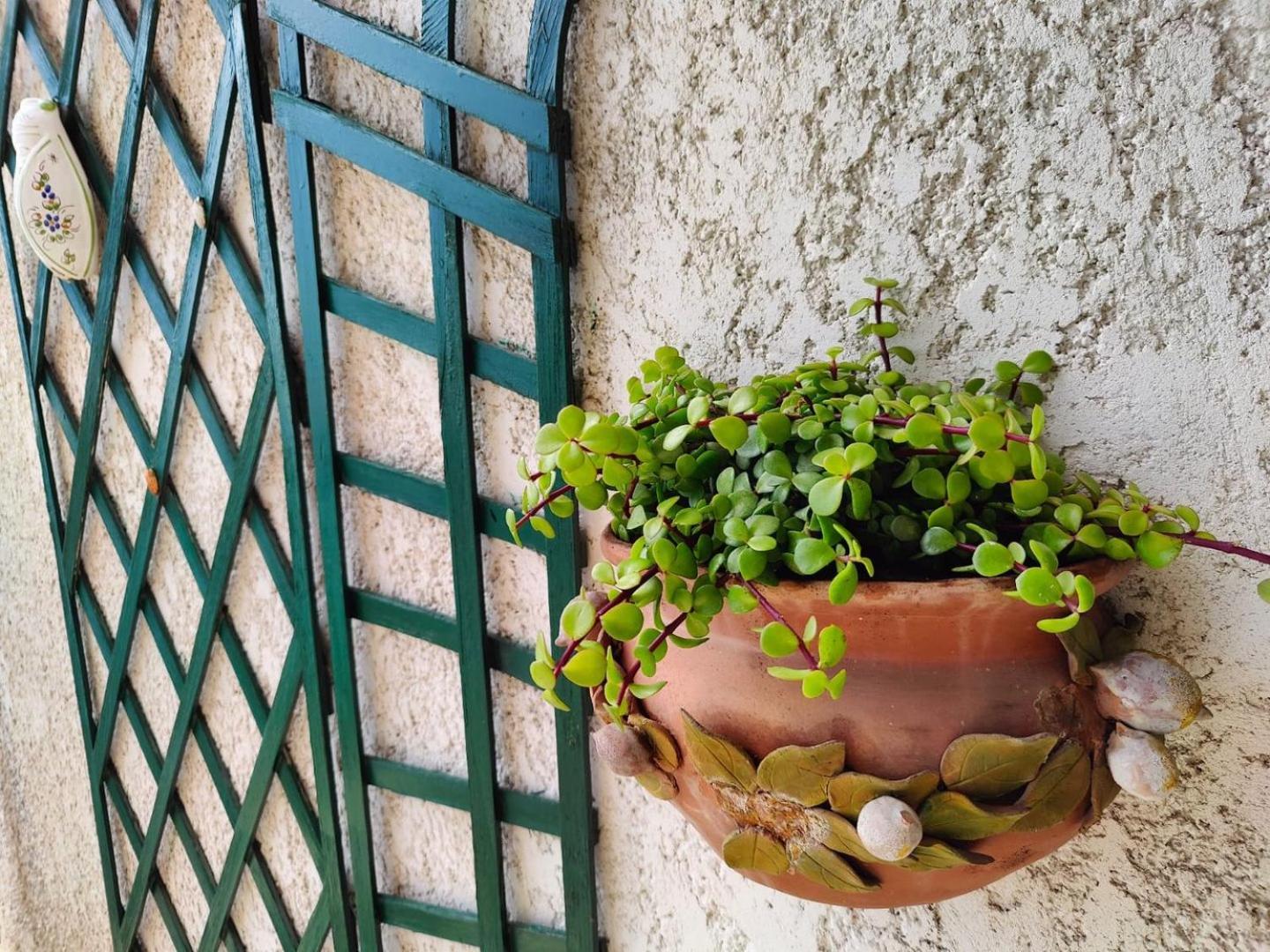 Le Coq Massolin Roquebrune-Cap-Martin Kültér fotó